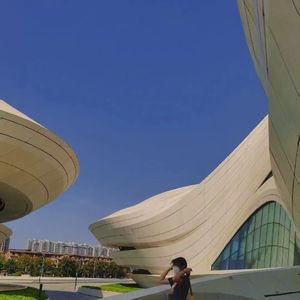 日本gogo亚洲高清大胆
