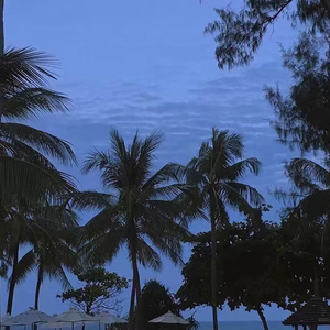 日本gogo亚洲高清大胆
